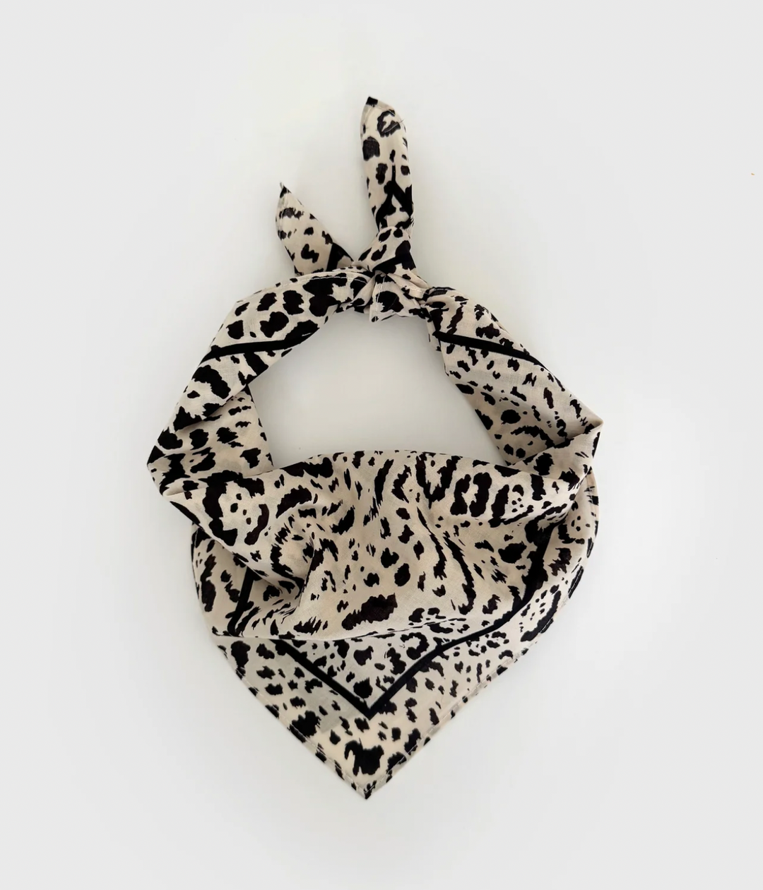 Cotton Leo Scarf Sand & Black 55x55