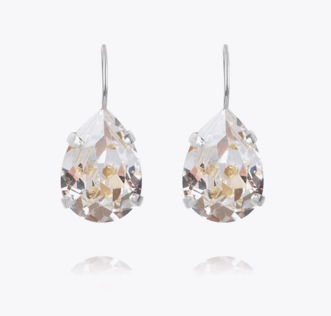Mini Drop Clasp Earrings Rhodium