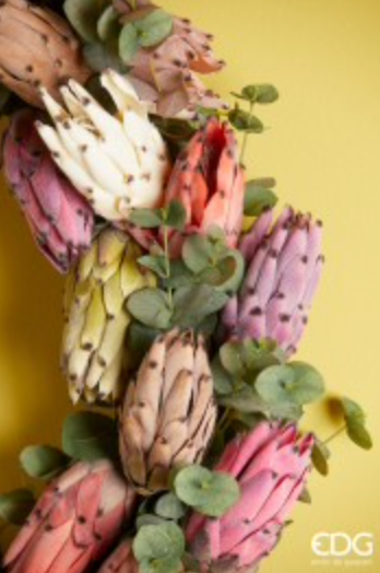 Protea Olivengren