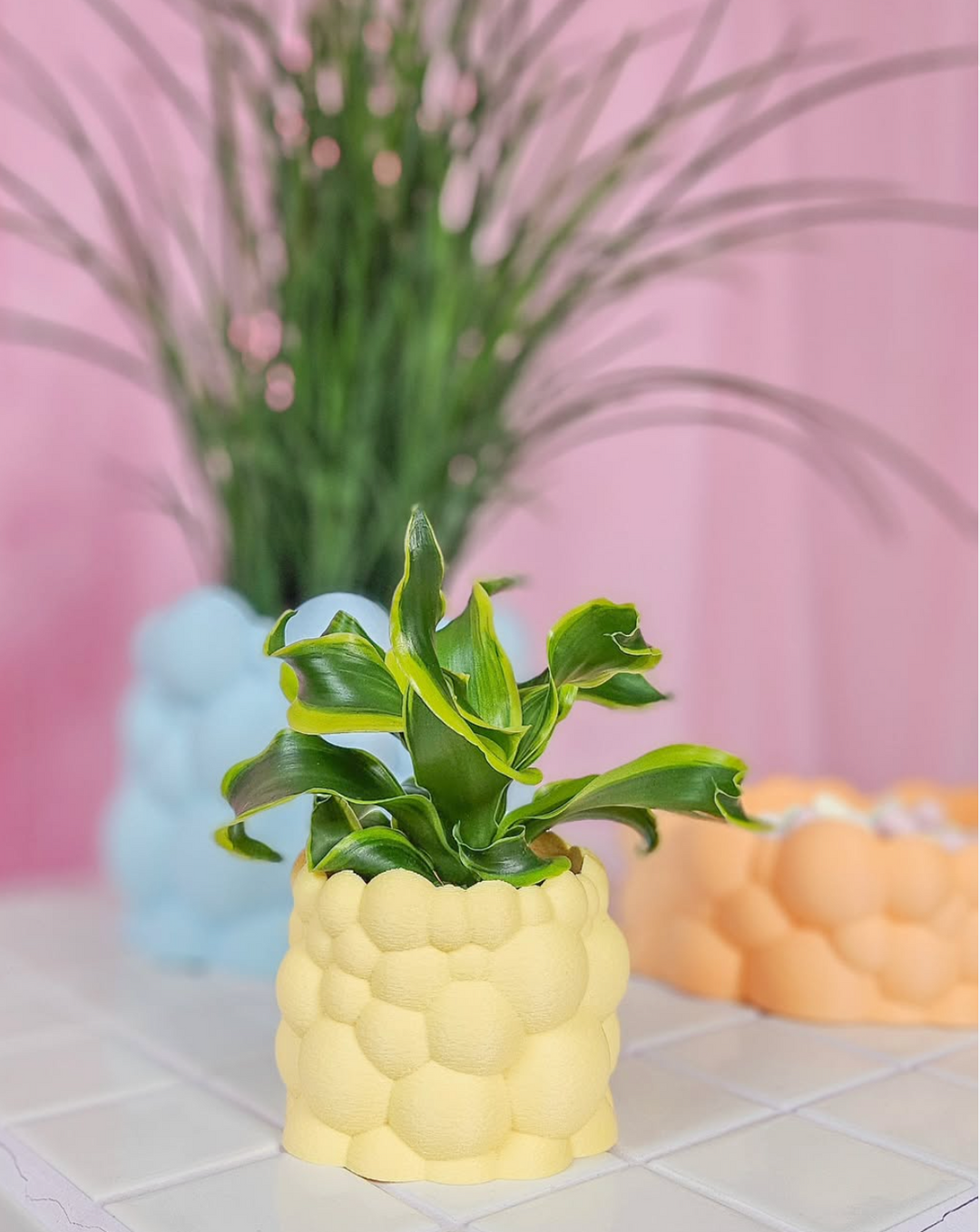Bubble Bowl Fuzzy Pastel M