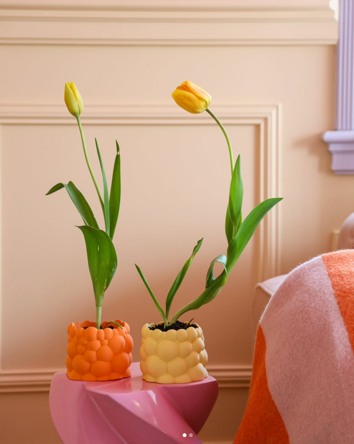 Bubble Planter S