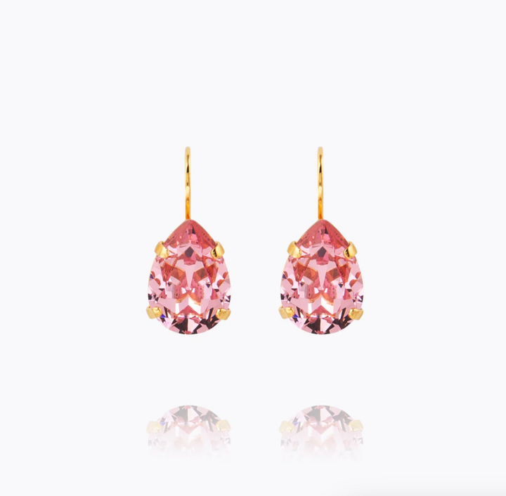 Mini Drop Clasp Earrings Gold