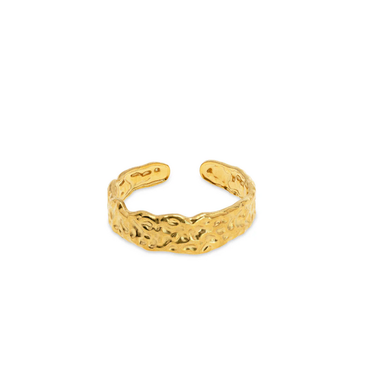 Tone - Hammered Ring Stainless Steel