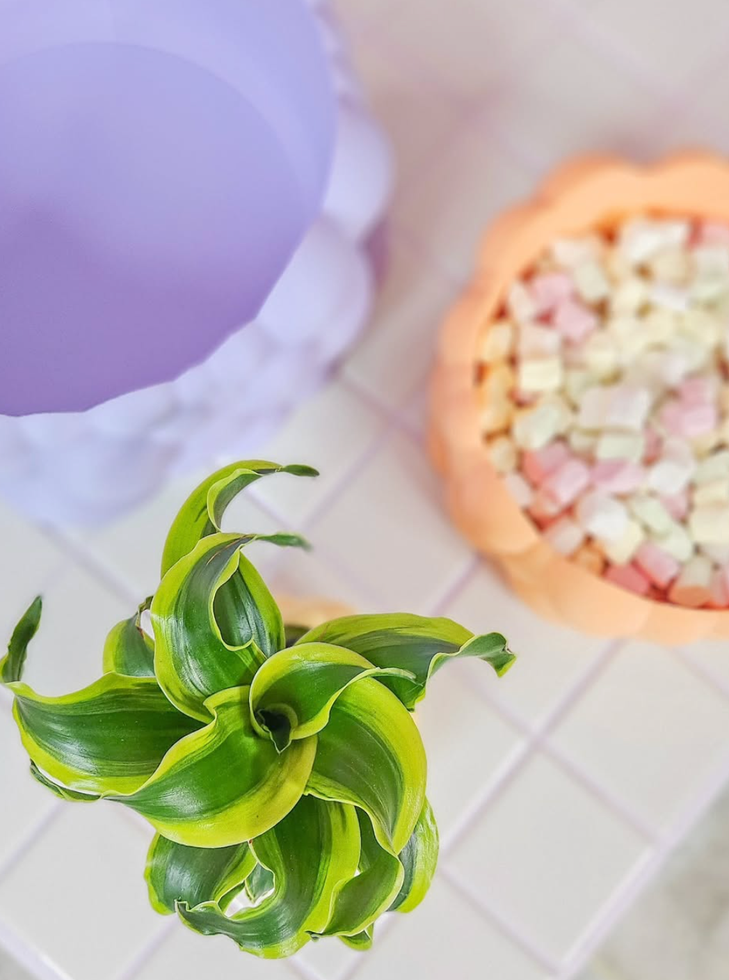 Bubble Bowl Fuzzy Pastel L