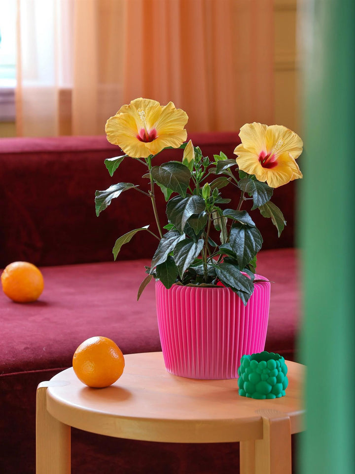 Stripe Planter L