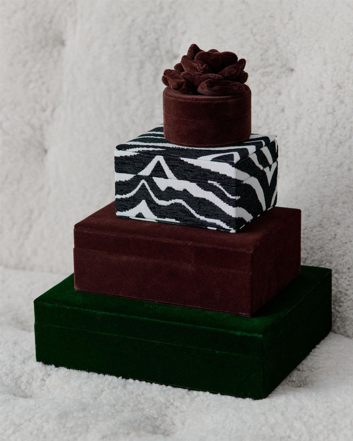 Day Zebra Jewelry Case Small