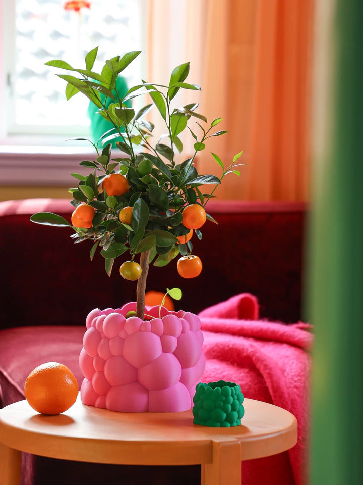 Bubble Planter L