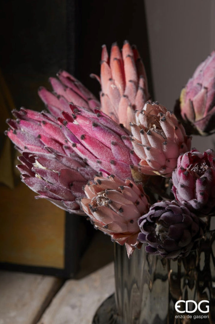 Protea Olivengren