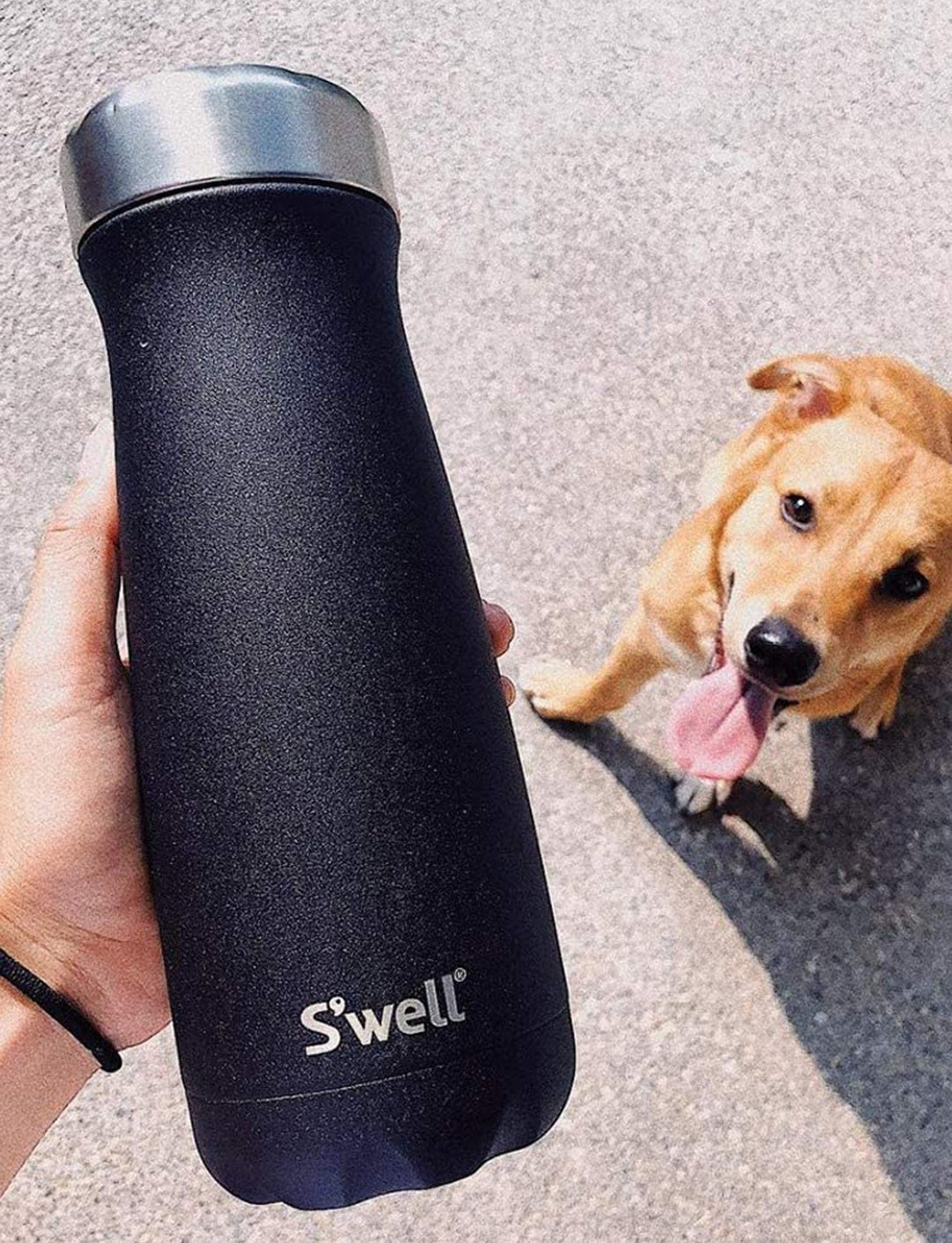 Onyx Traveler 16oz