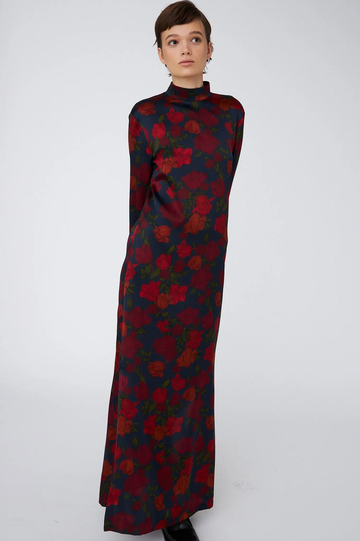 Silk Dress Long