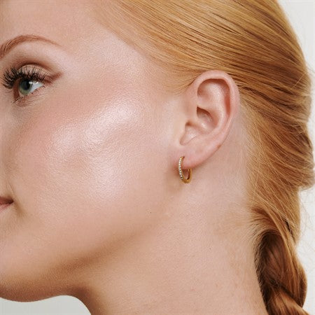 Nilea Crystal Hoop Earrings Stainless Steel