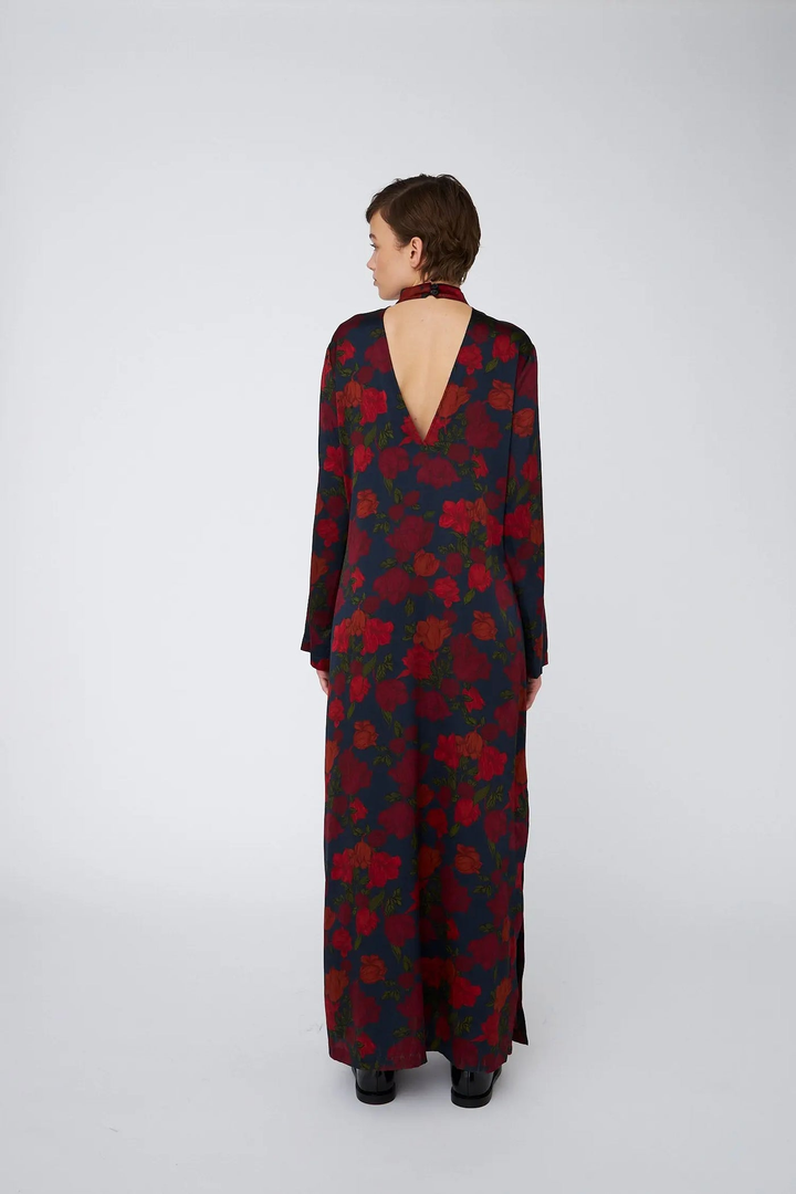 Silk Dress Long