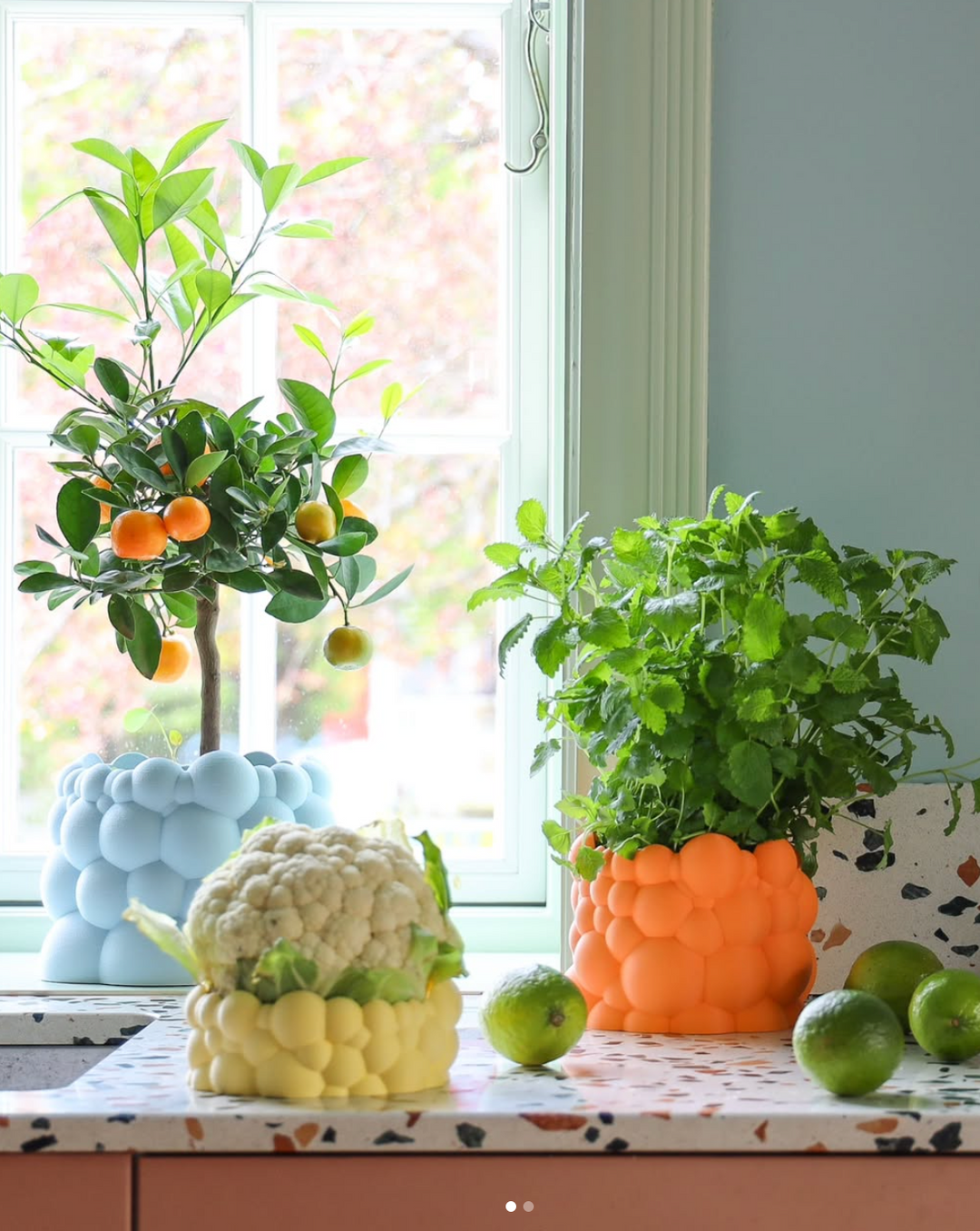 Bubble Planter Fuzzy Pastel XL