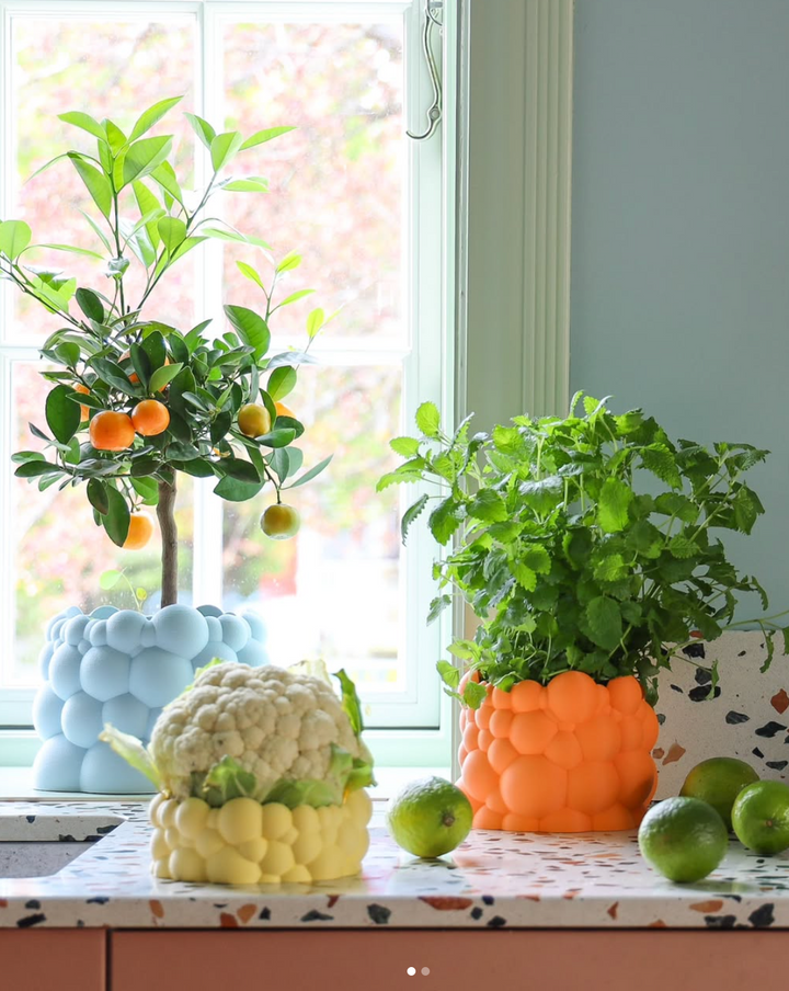 Bubble Planter Fuzzy Pastel XL