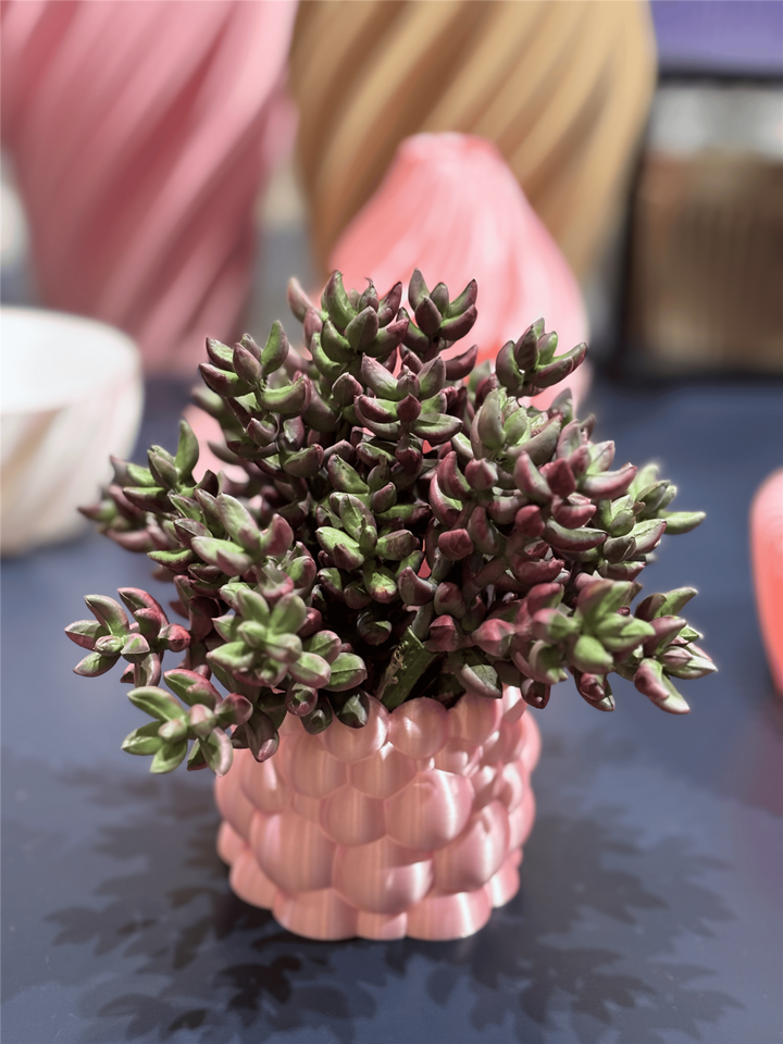 Bubble Planter XS